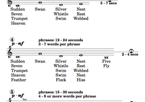 sudden swan score snippet