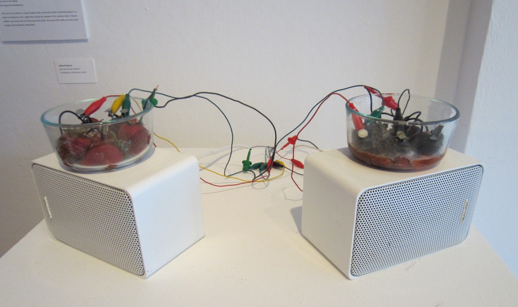 Installation view: front